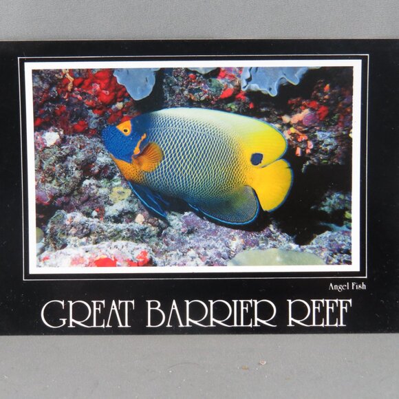 Vintage Postcard - Yellow Face Angelfish Great Barrier Reef - Peer Productions - Picture 4 of 4